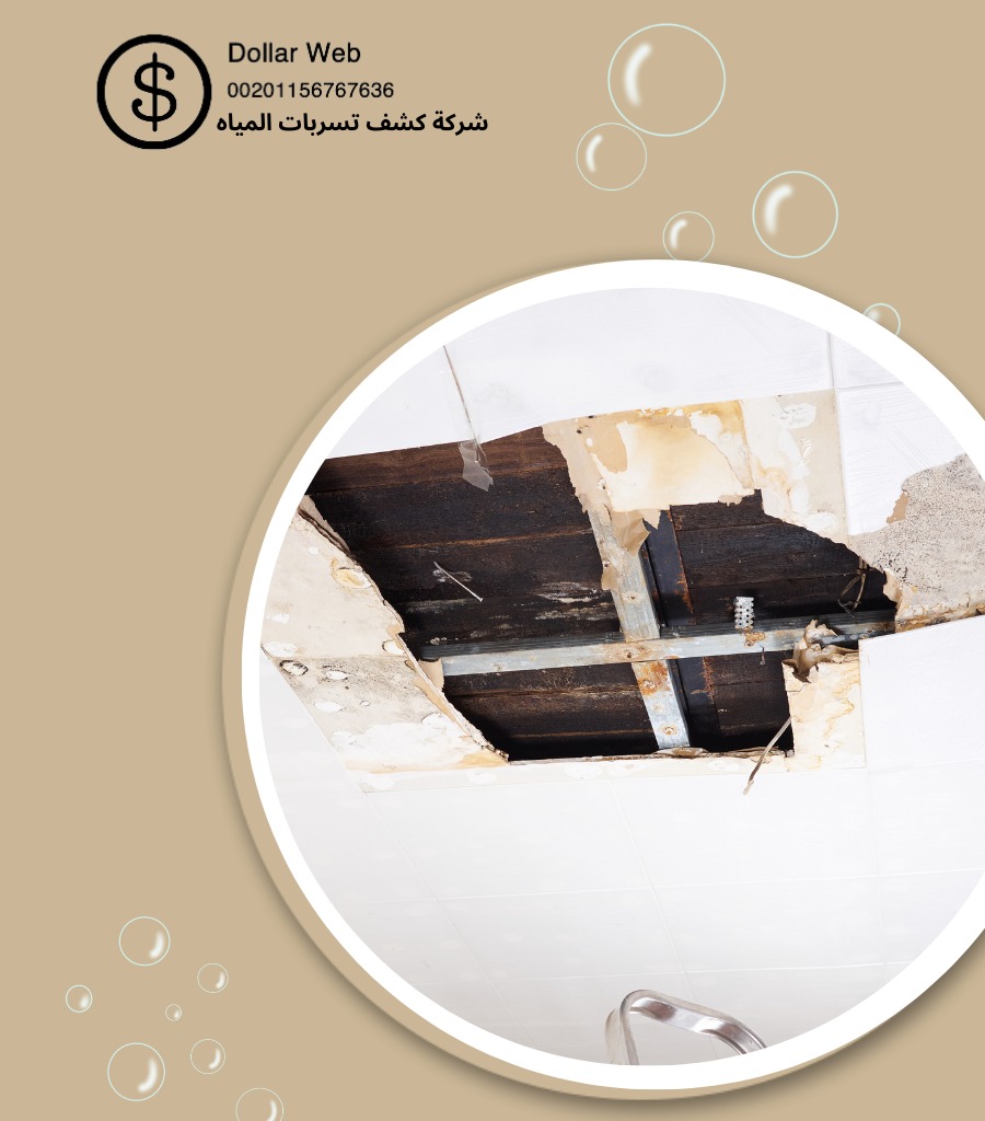 الكشف عن تسربات مياه الرياض